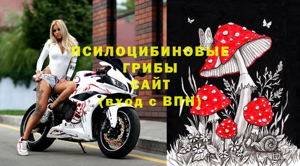 ешки Каменка