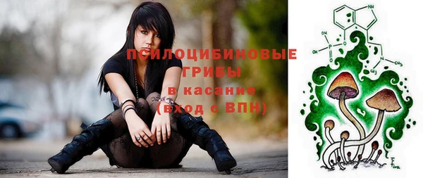 ешки Каменка