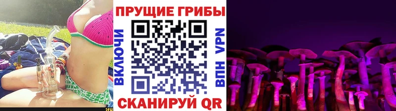 Купить где Радужный Галлюциногенные грибы Magic Shrooms